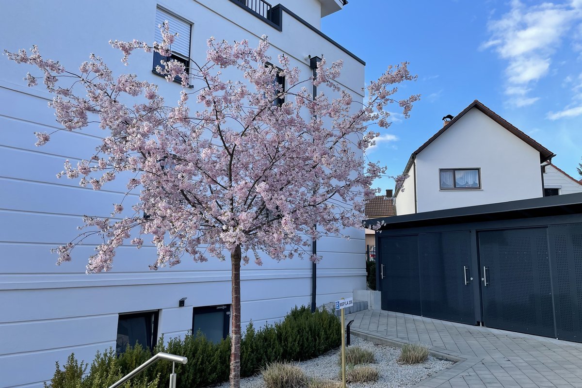 Naturidylle Am Taubenberg Euerbach