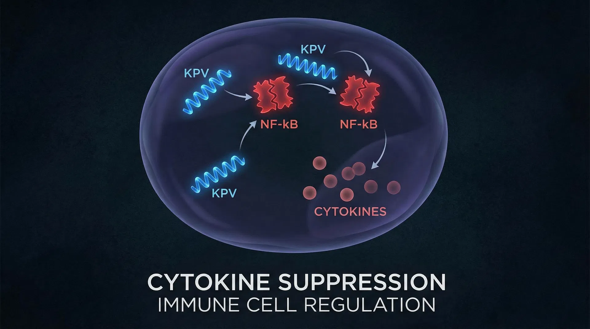 KPV peptide: What the Science Actually Says — A PubMed-Backed Review