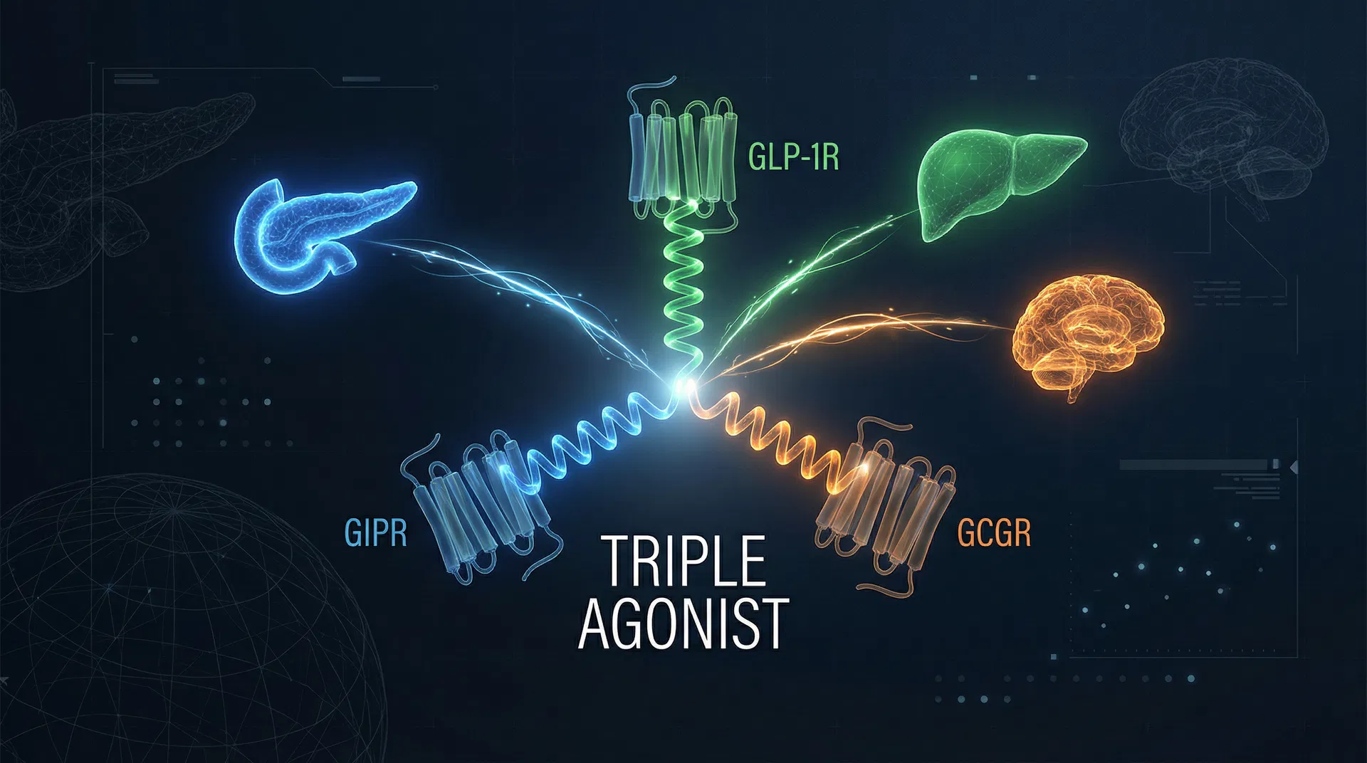 Retatrutide: The Triple-Agonist Peptide Revolutionizing Obesity Treatment