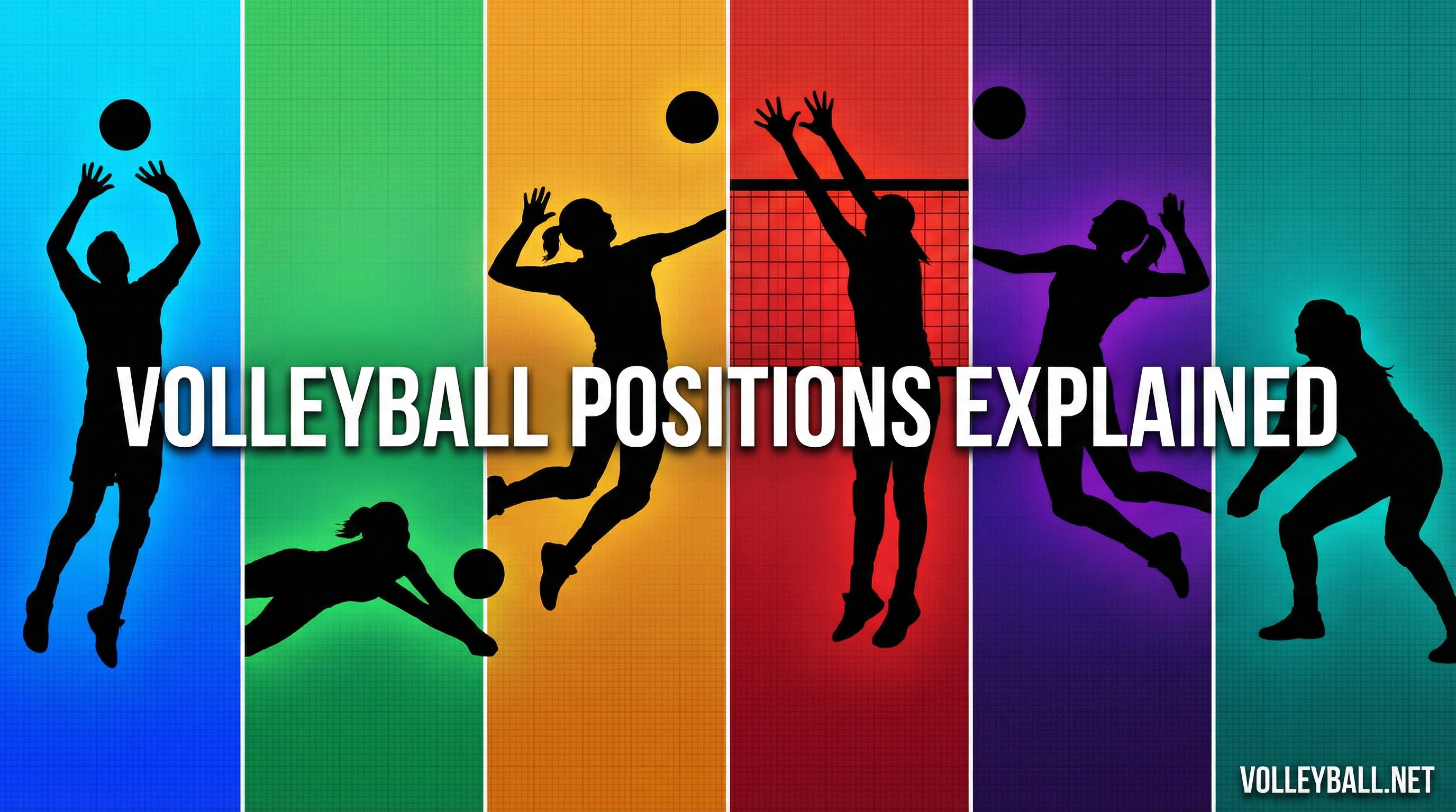 Volleyball Positions Explained