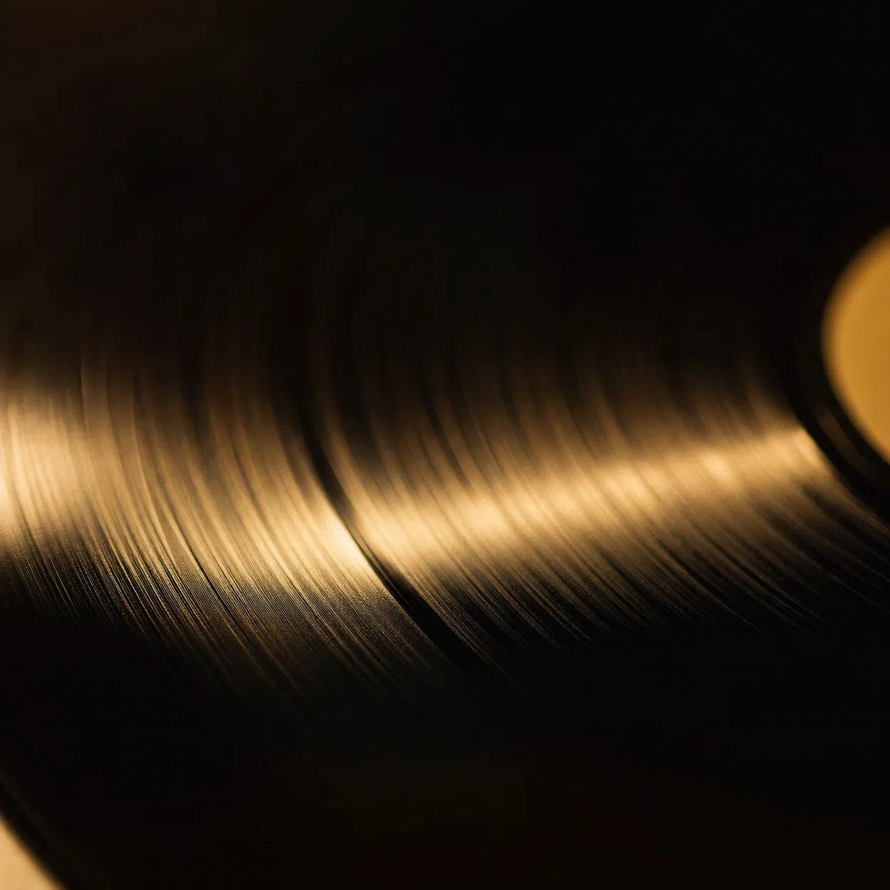 Vinyl record