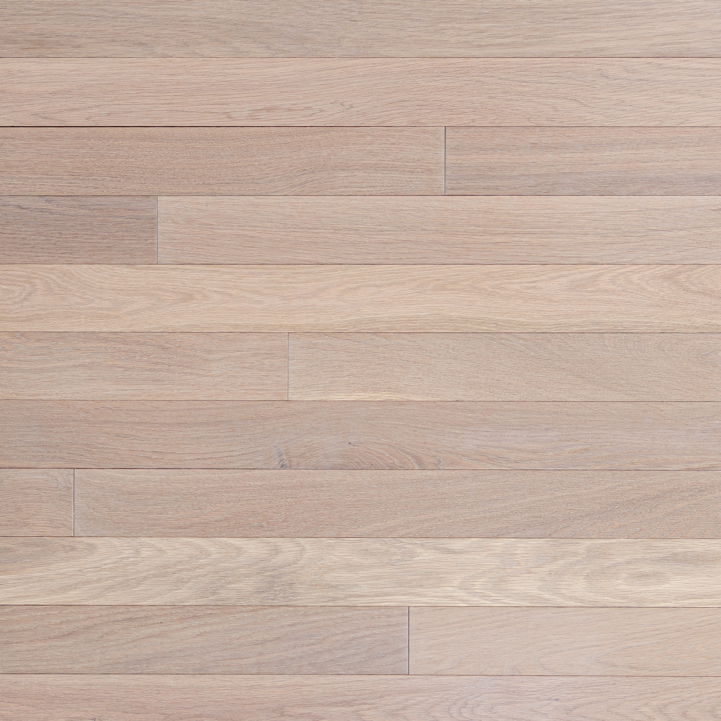 Wickham Domestic - Ash - Solid 3 1/4" Canadian Plus