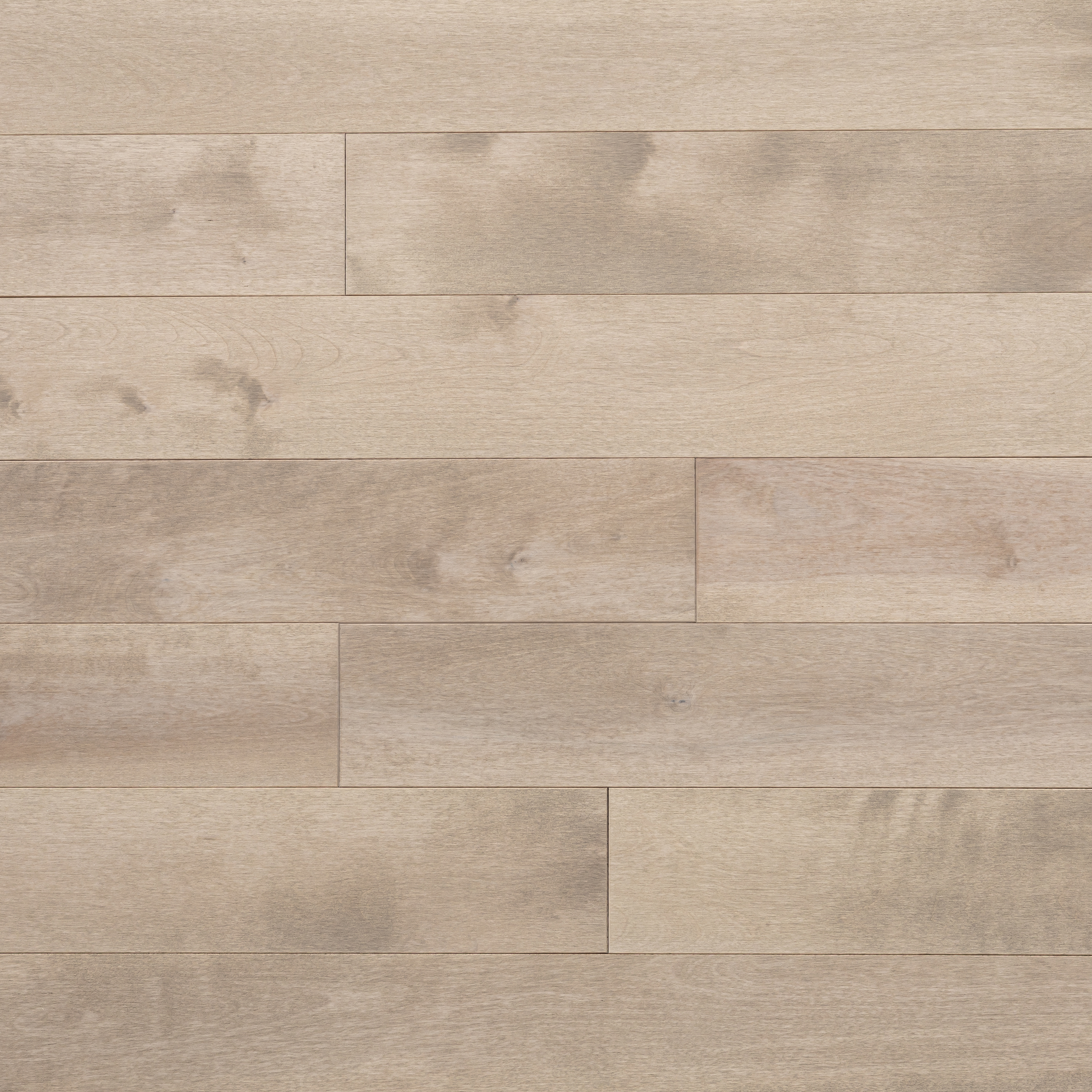 Wickham Domestic - Birch - Solid 3 1/4" Cottage Grade