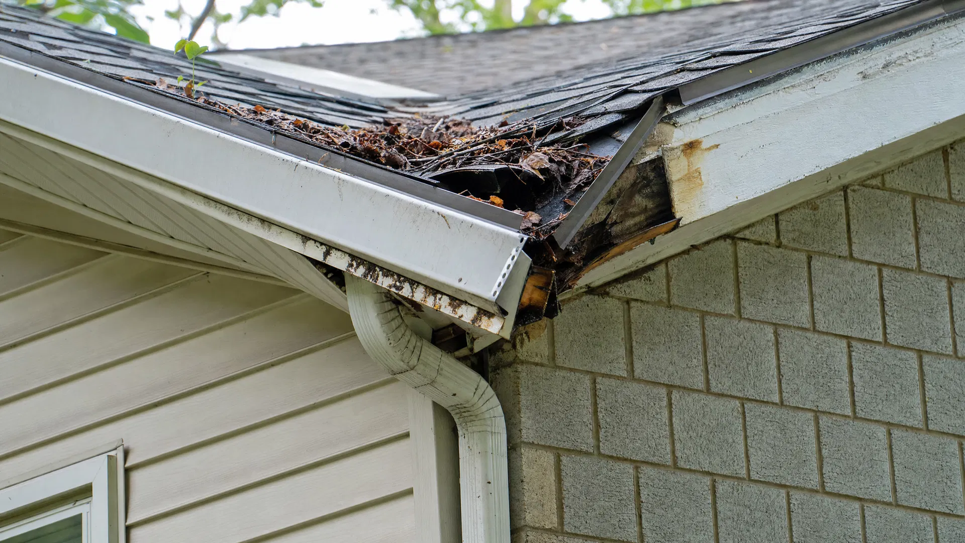 Gutter System Replacement - Before