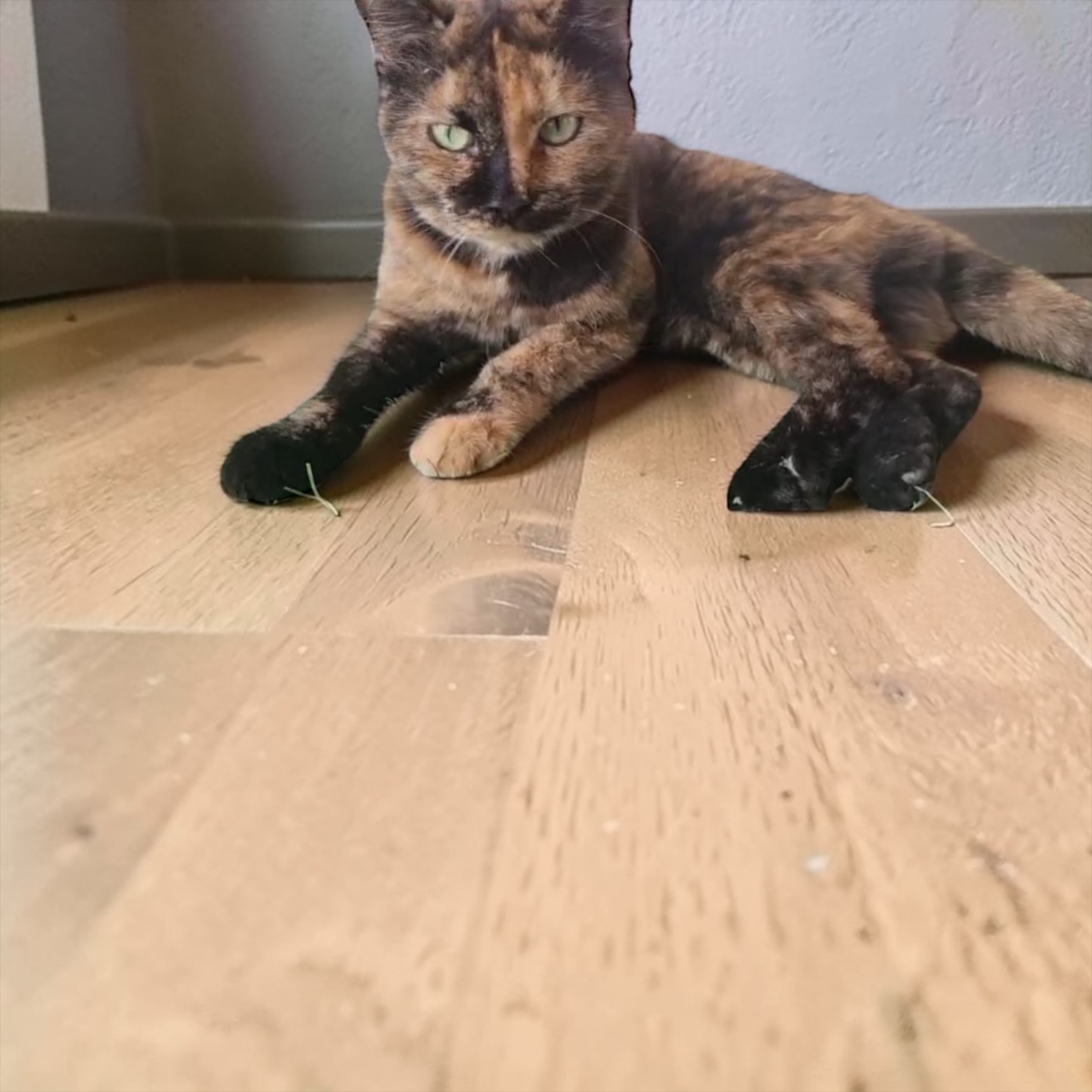 Amber