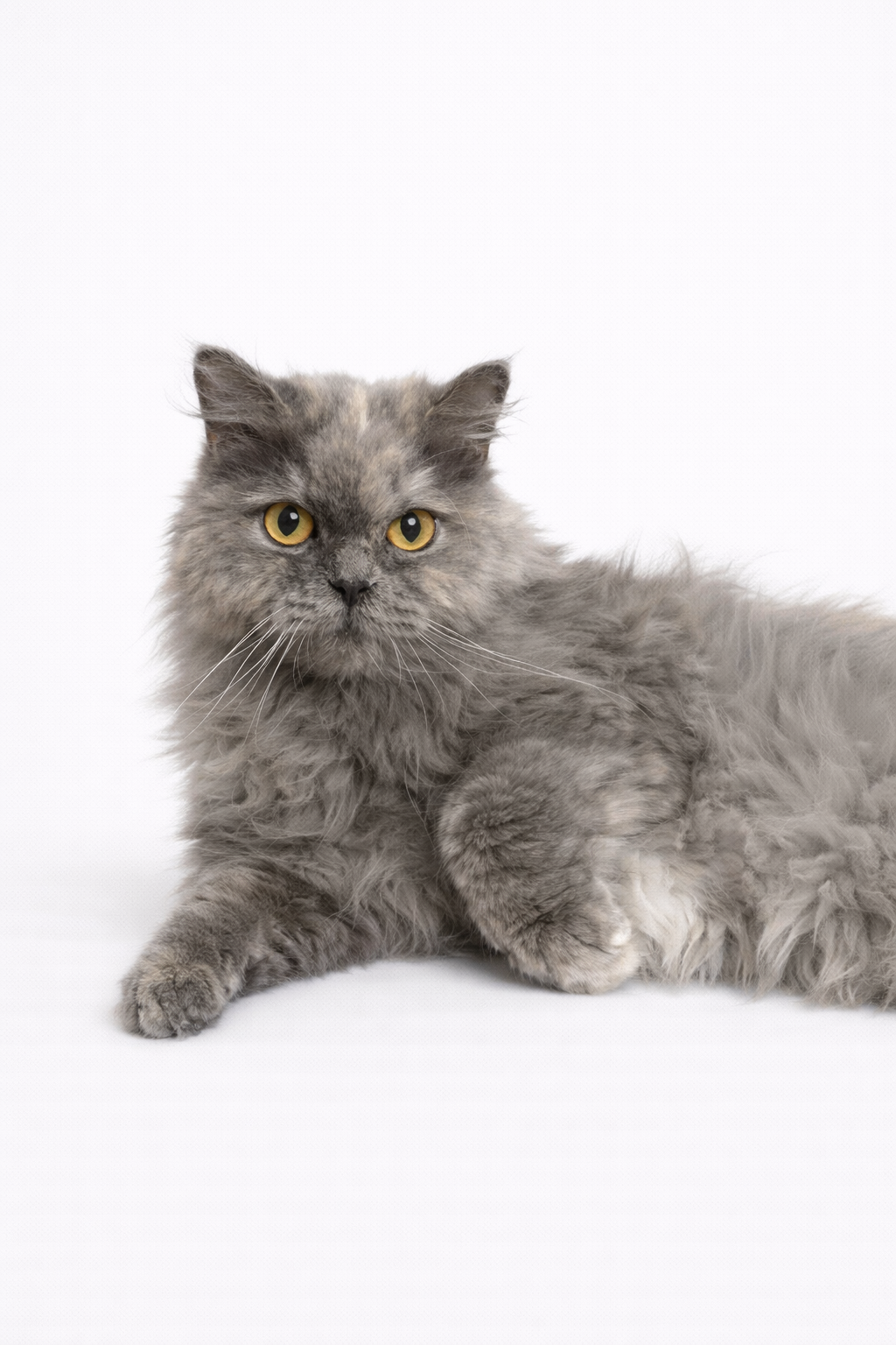 Fluffy