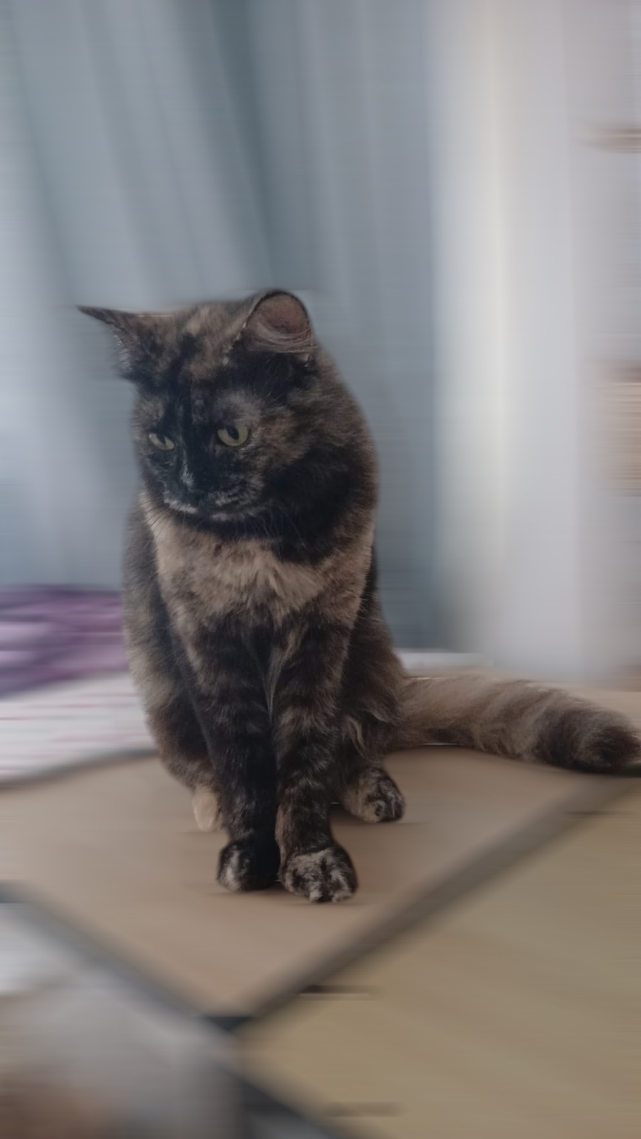 Luna