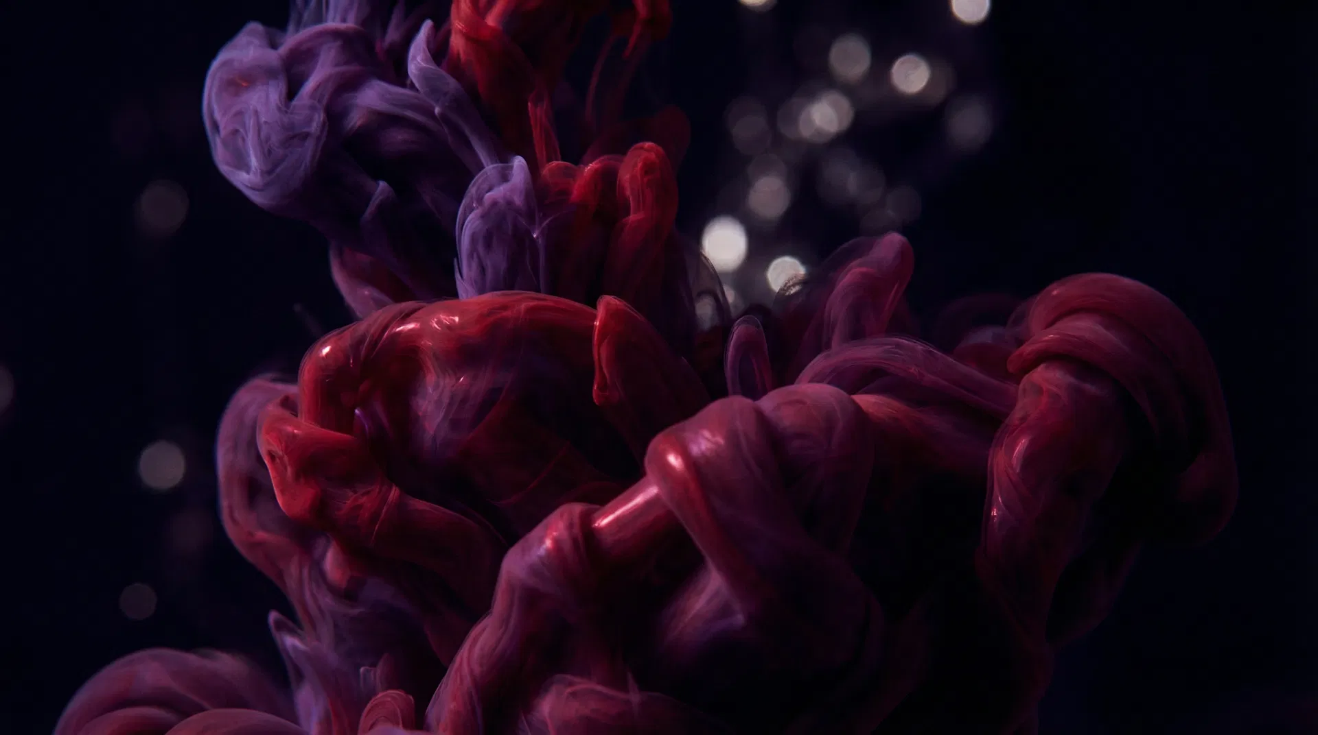 Guide débutant : comment choisir son IA femdom