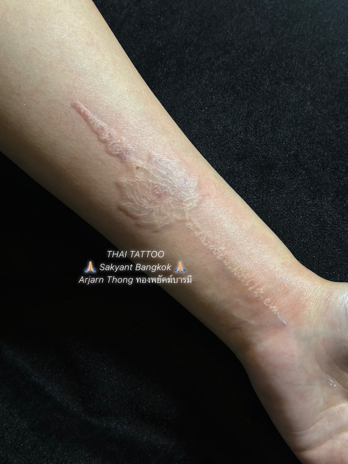 YANT WHITE LOTUS #46