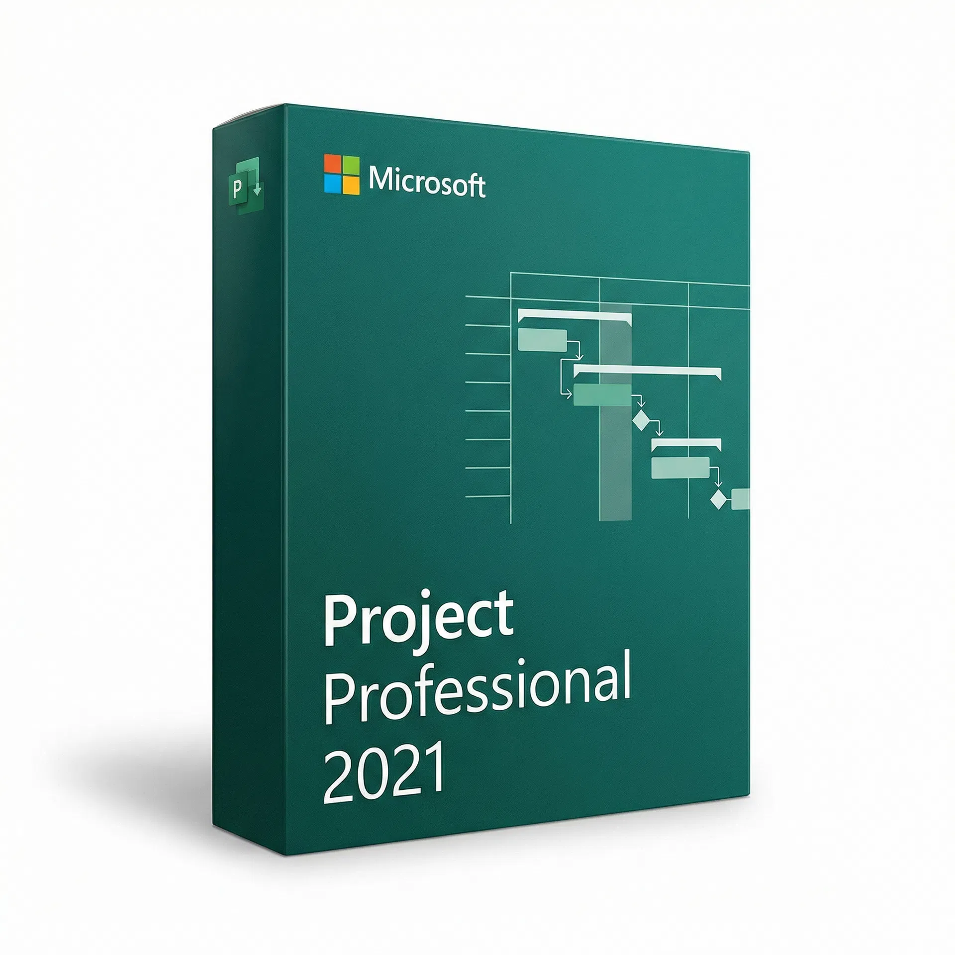 Project Professional 2021