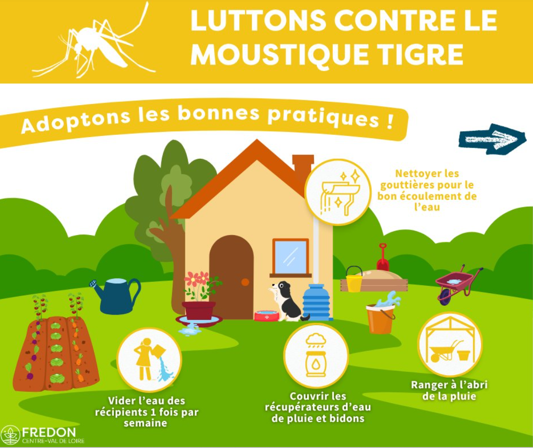 🦟 MOUSTIQUE TIGRE : À BÉLÂBRE, ON AGIT TOUS ENSEMBLE !