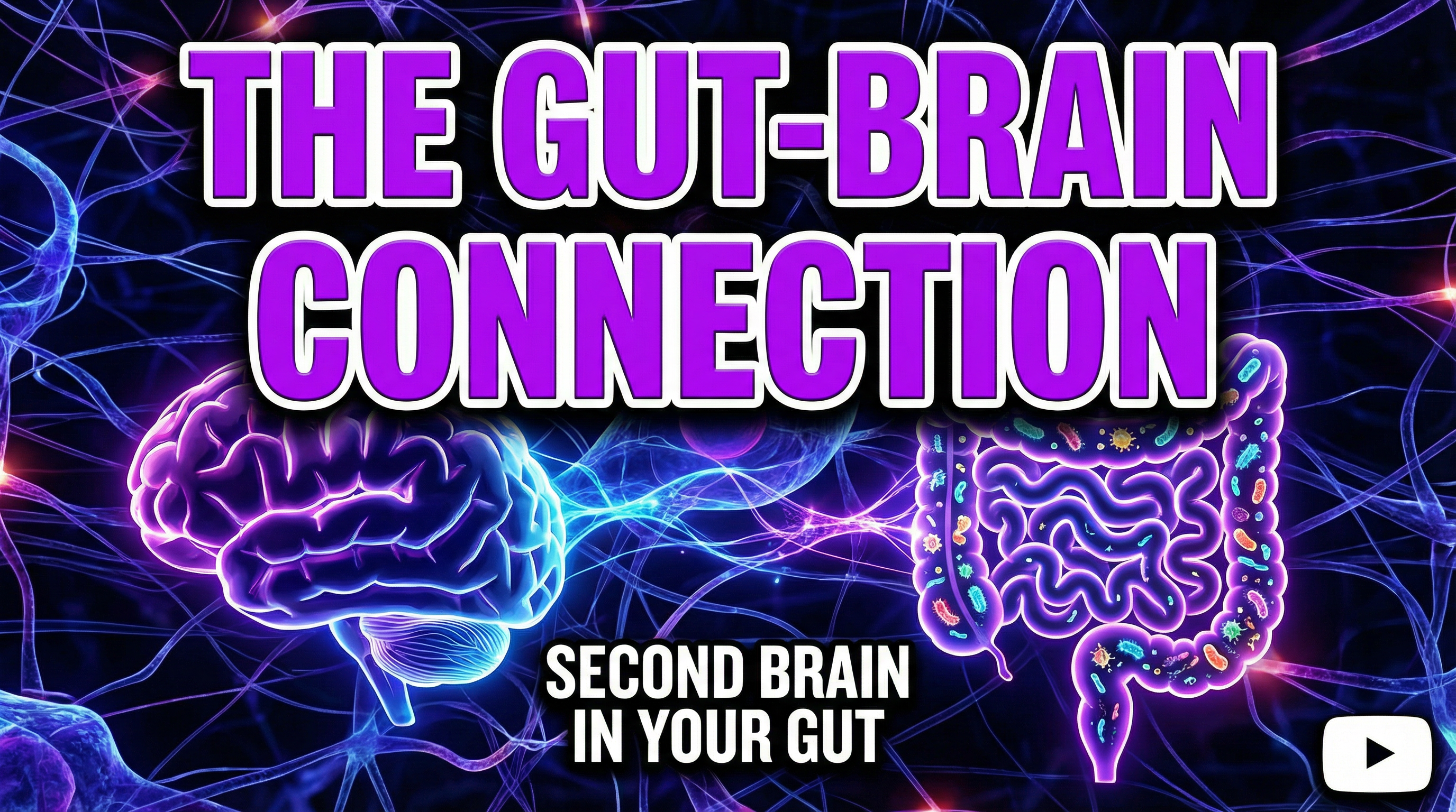 The Gut-Brain Connection