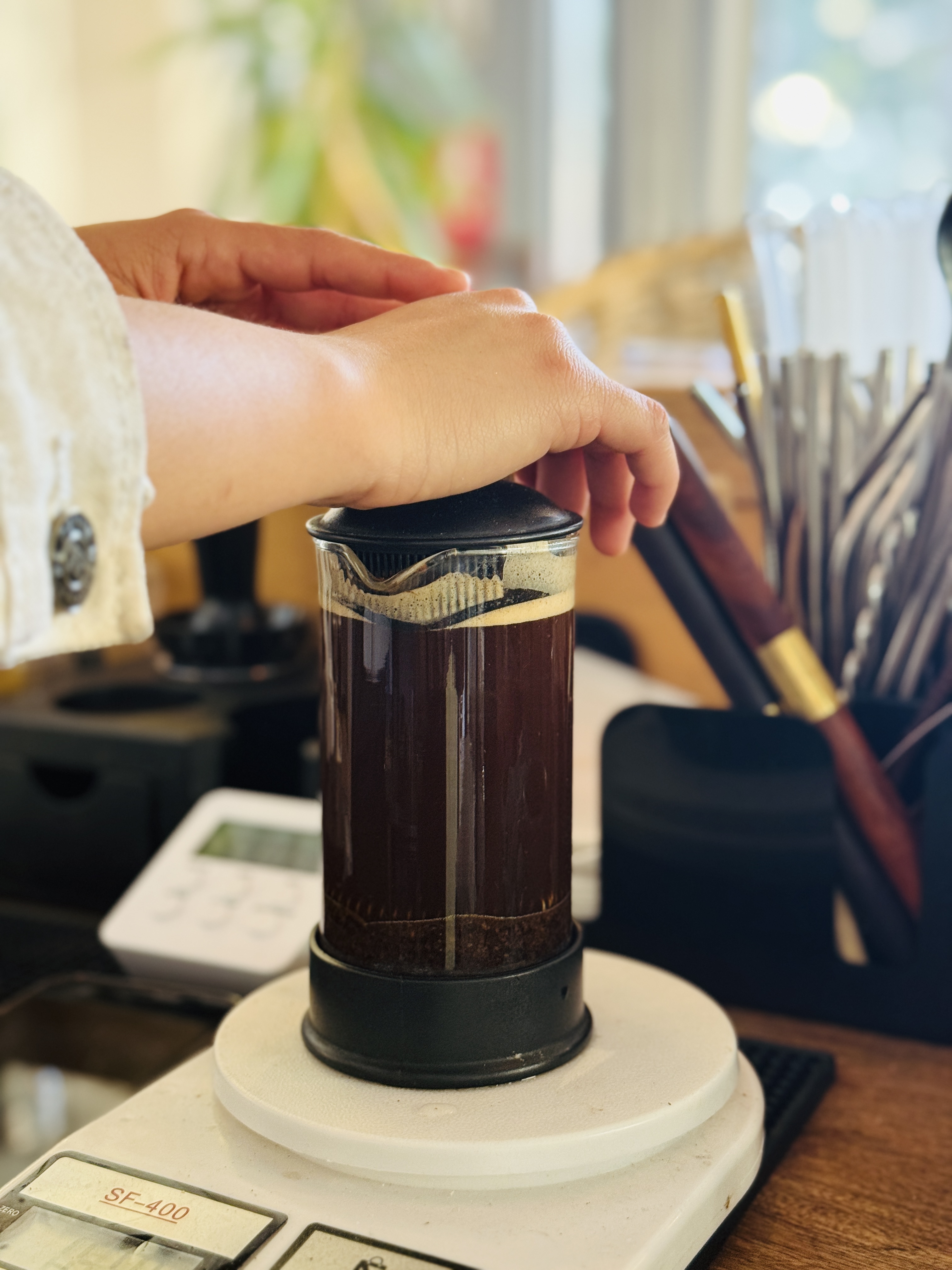 Prensa Francesa 300 ml