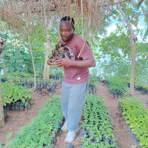 Kodjo Mawunyo  AZIAGBA