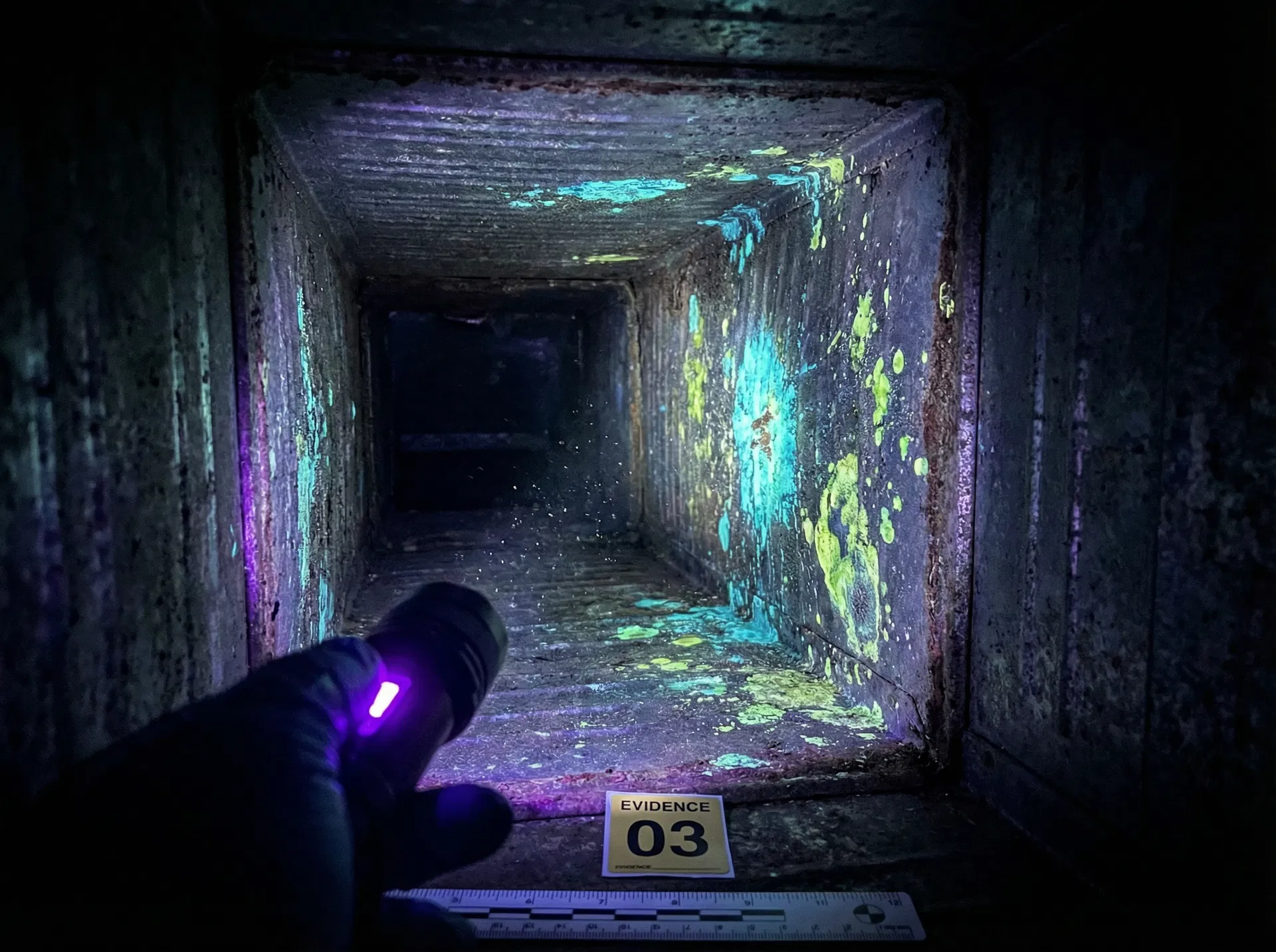 UV biofilm detection