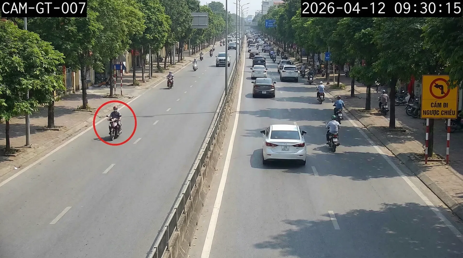 Đi ngược chiều — Ô tô