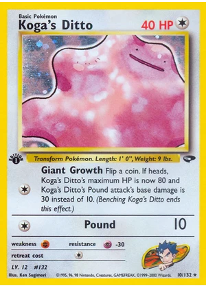 Koga's Ditto