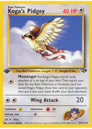 Koga's Pidgey