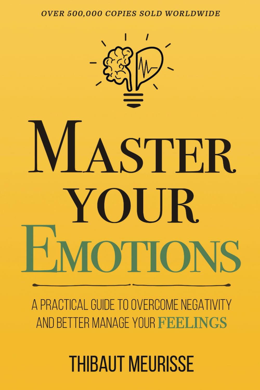 Meistere Deine Emotionen by Thibaut Meurisse — book cover