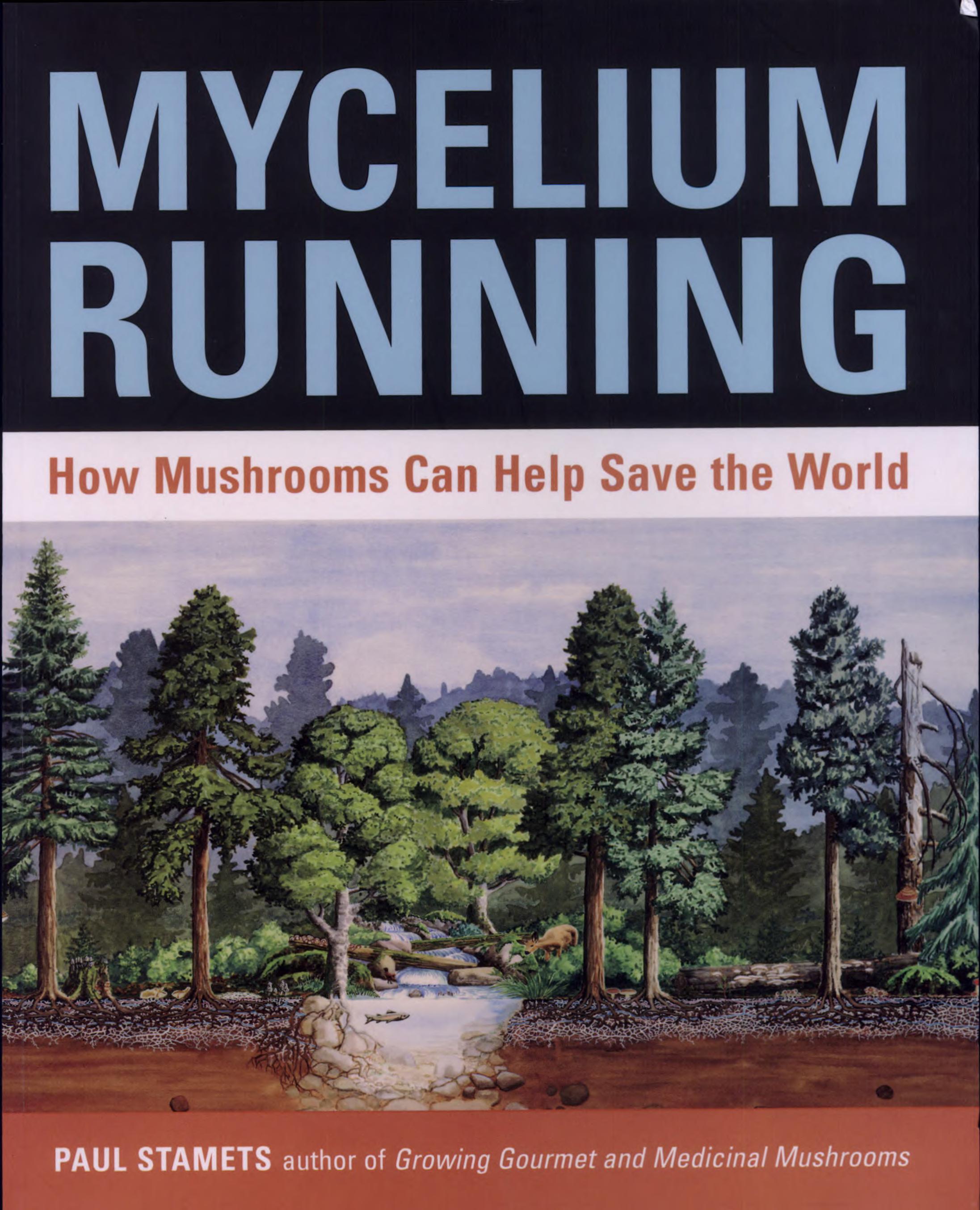 Mycelium Running