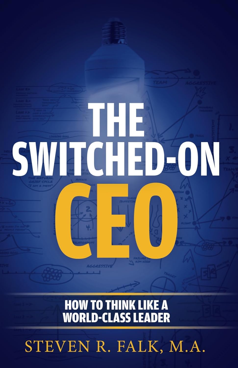 The Switched-On CEO