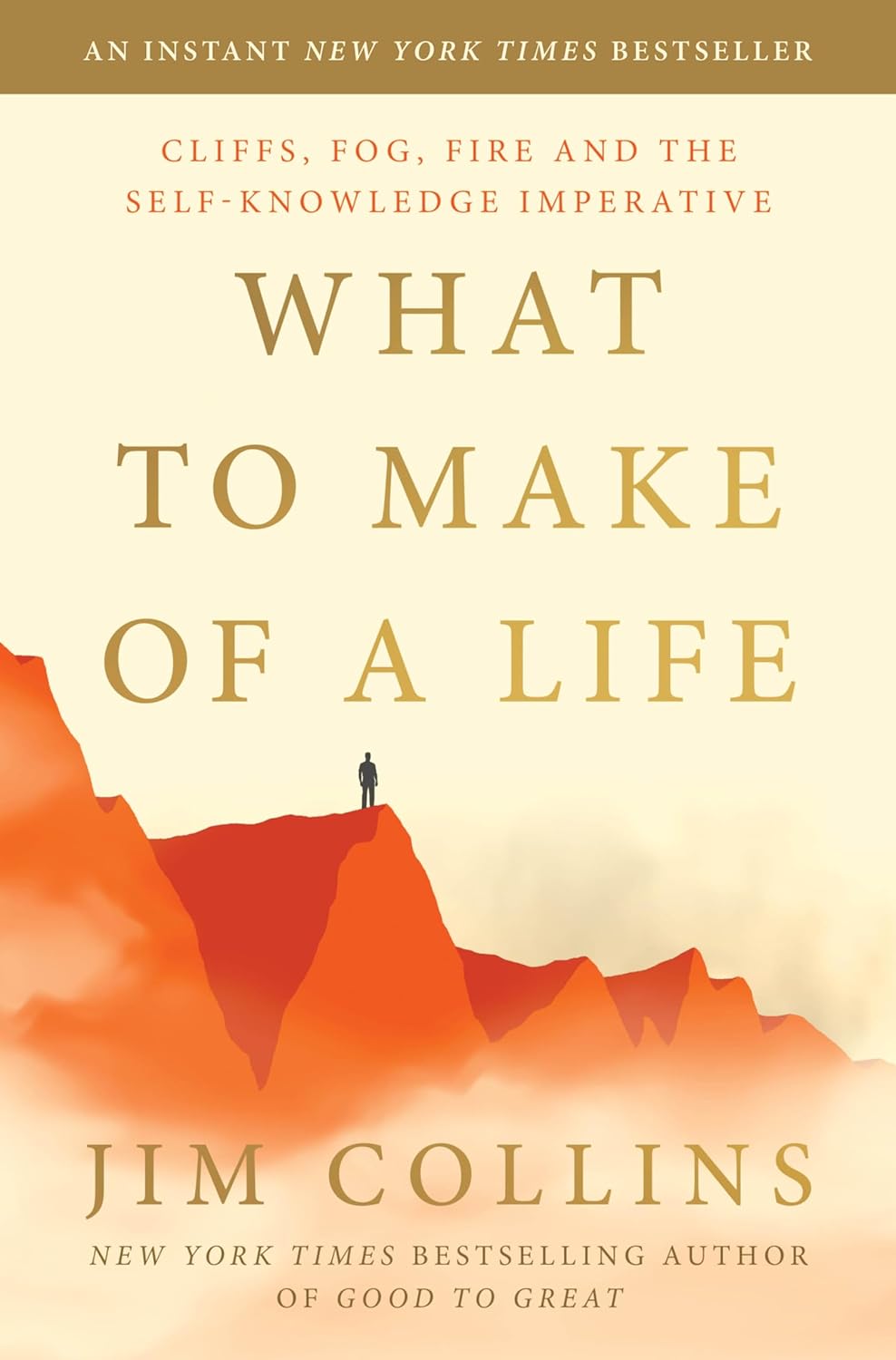 What to Make of a Life