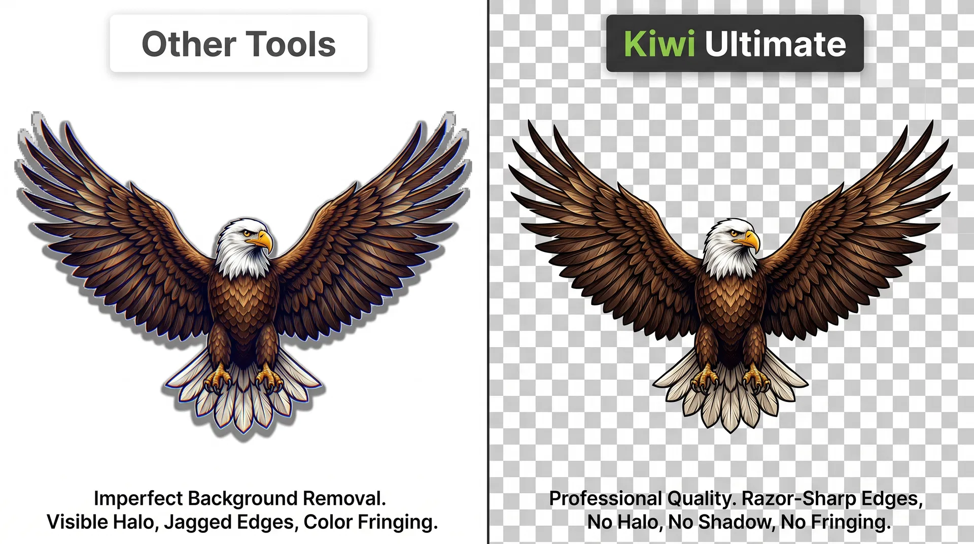Before/After: Eagle Wing Spread
