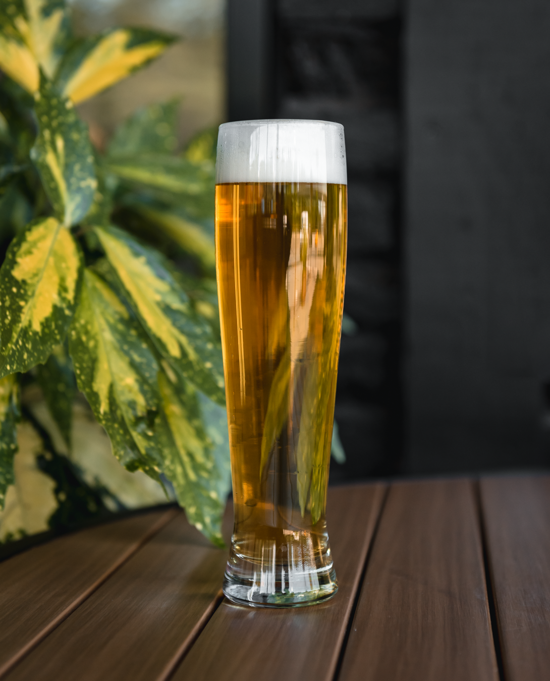 ITALIAN PILSNER