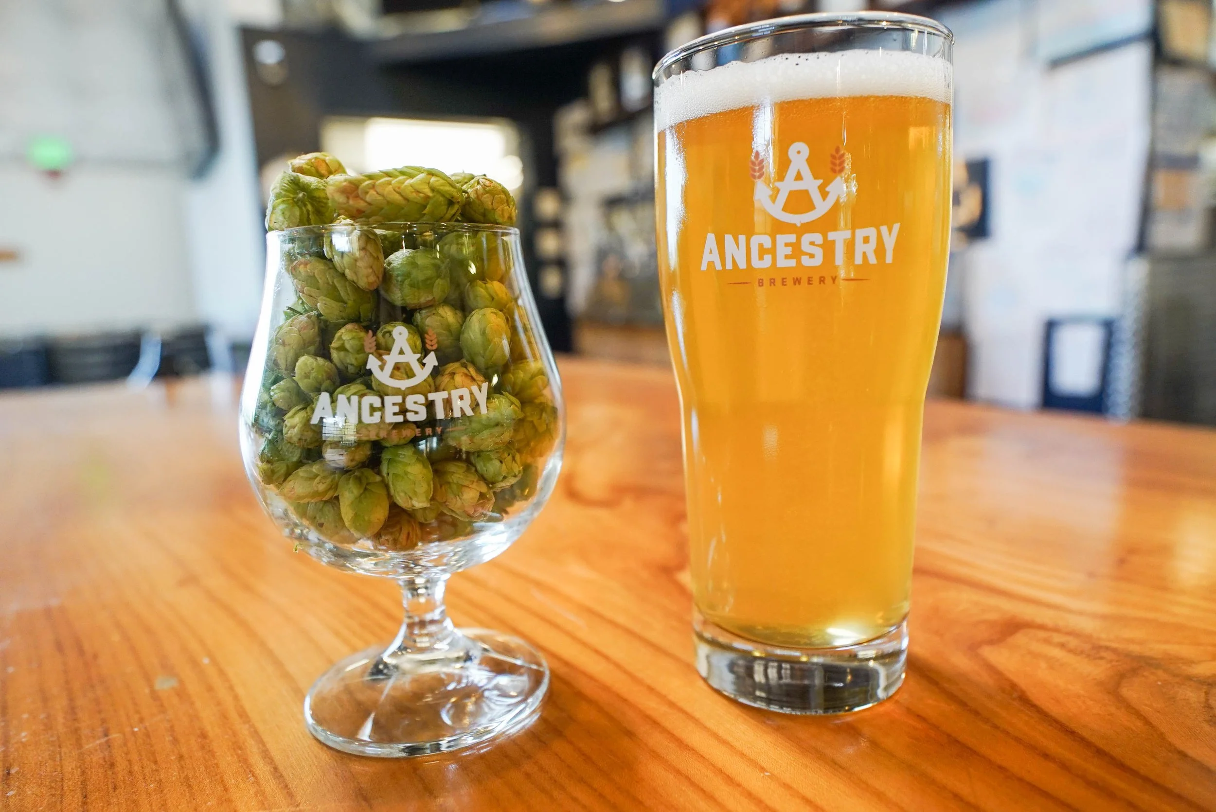 FRESH HOP CENTENNIAL WC INDIA PALE ALE