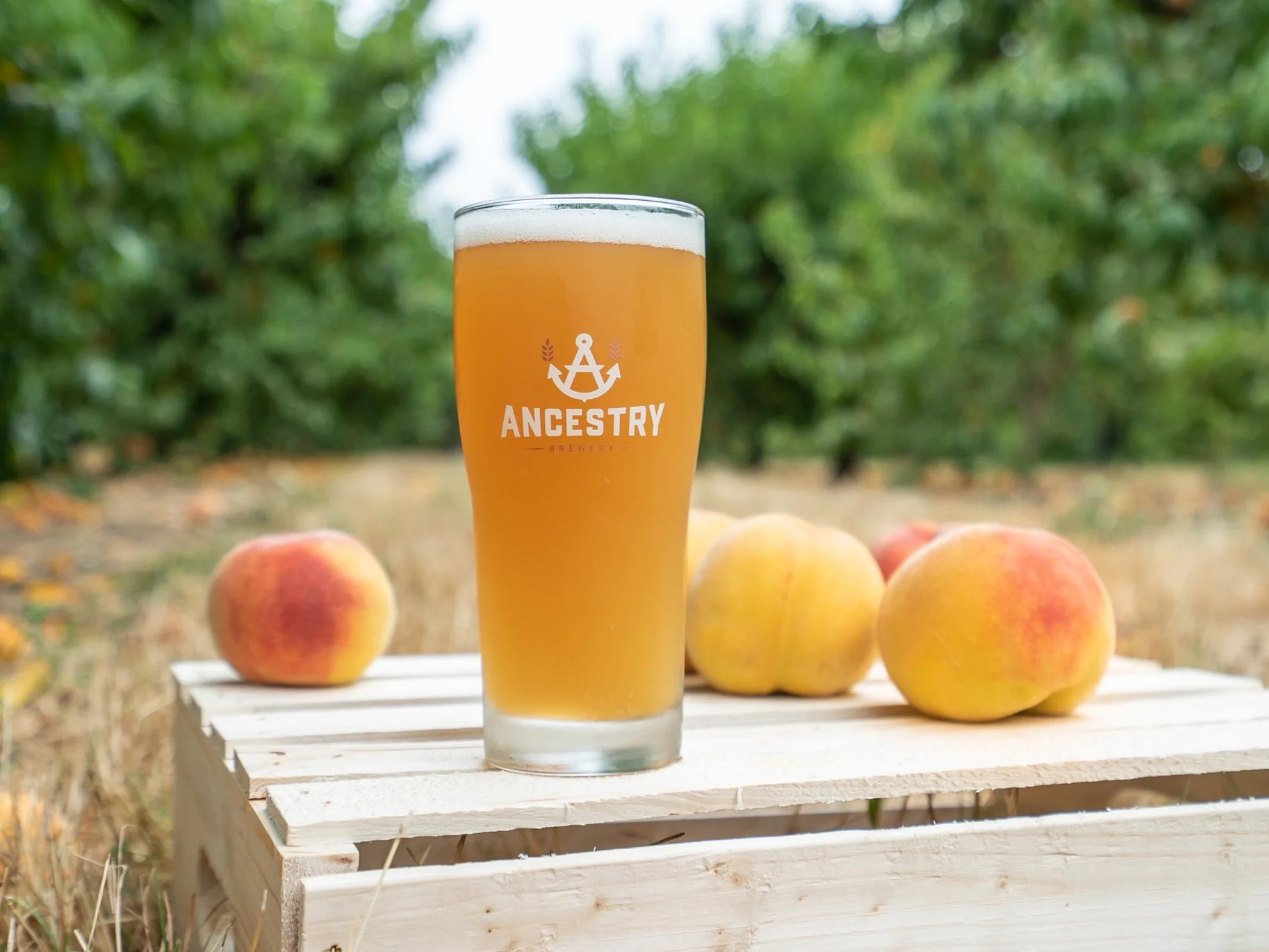Peach Wheat Ale