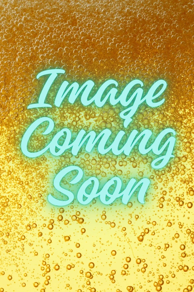 Fun Shy Hazy IPA