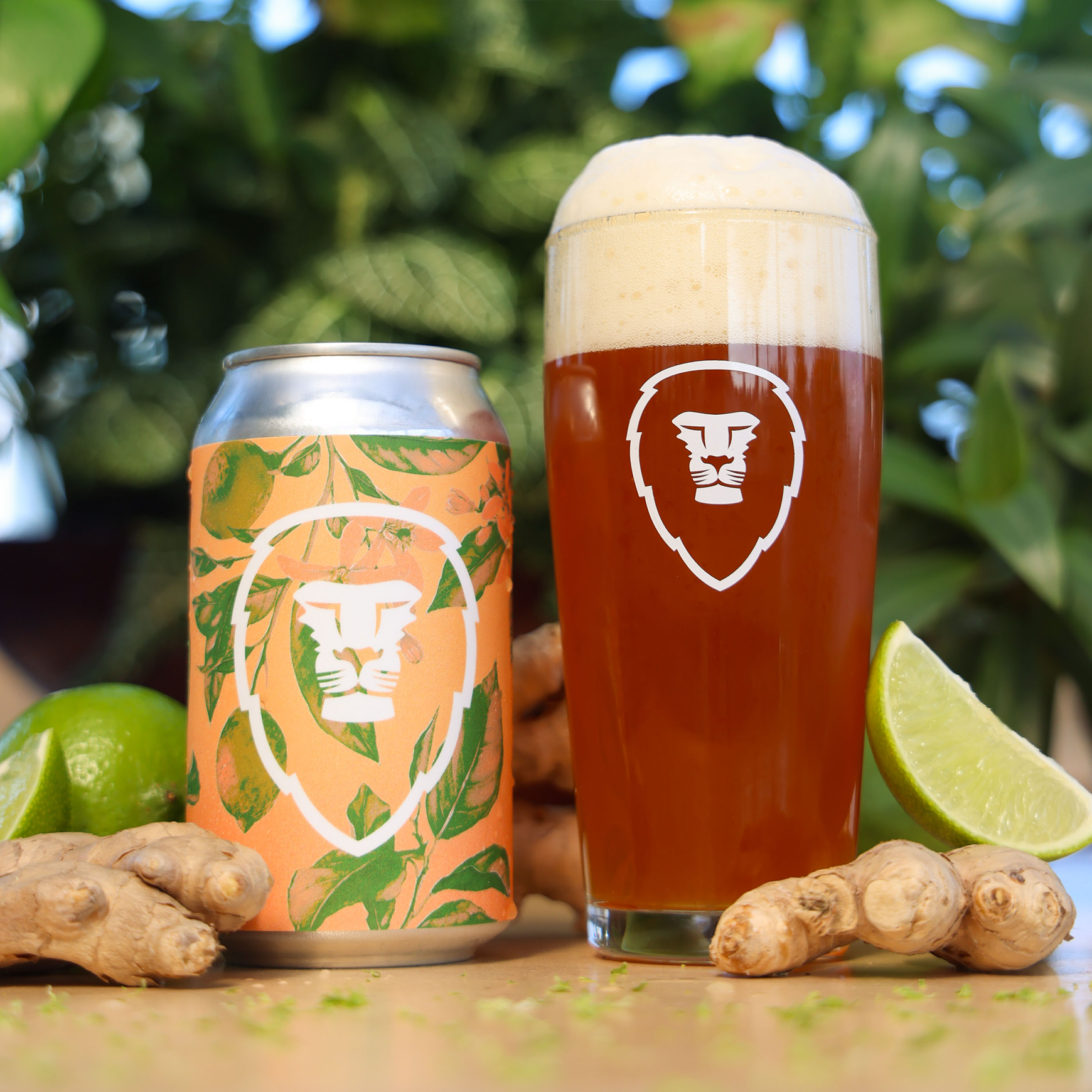GINGER RYE