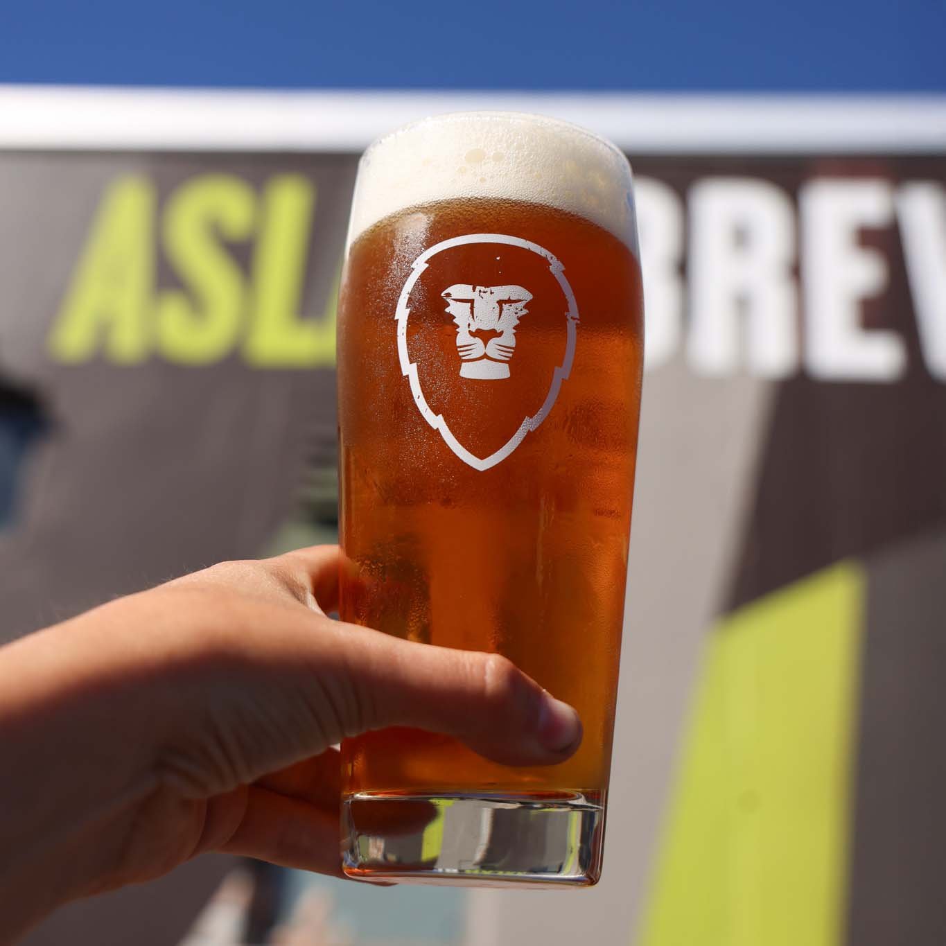 MAIBOCK