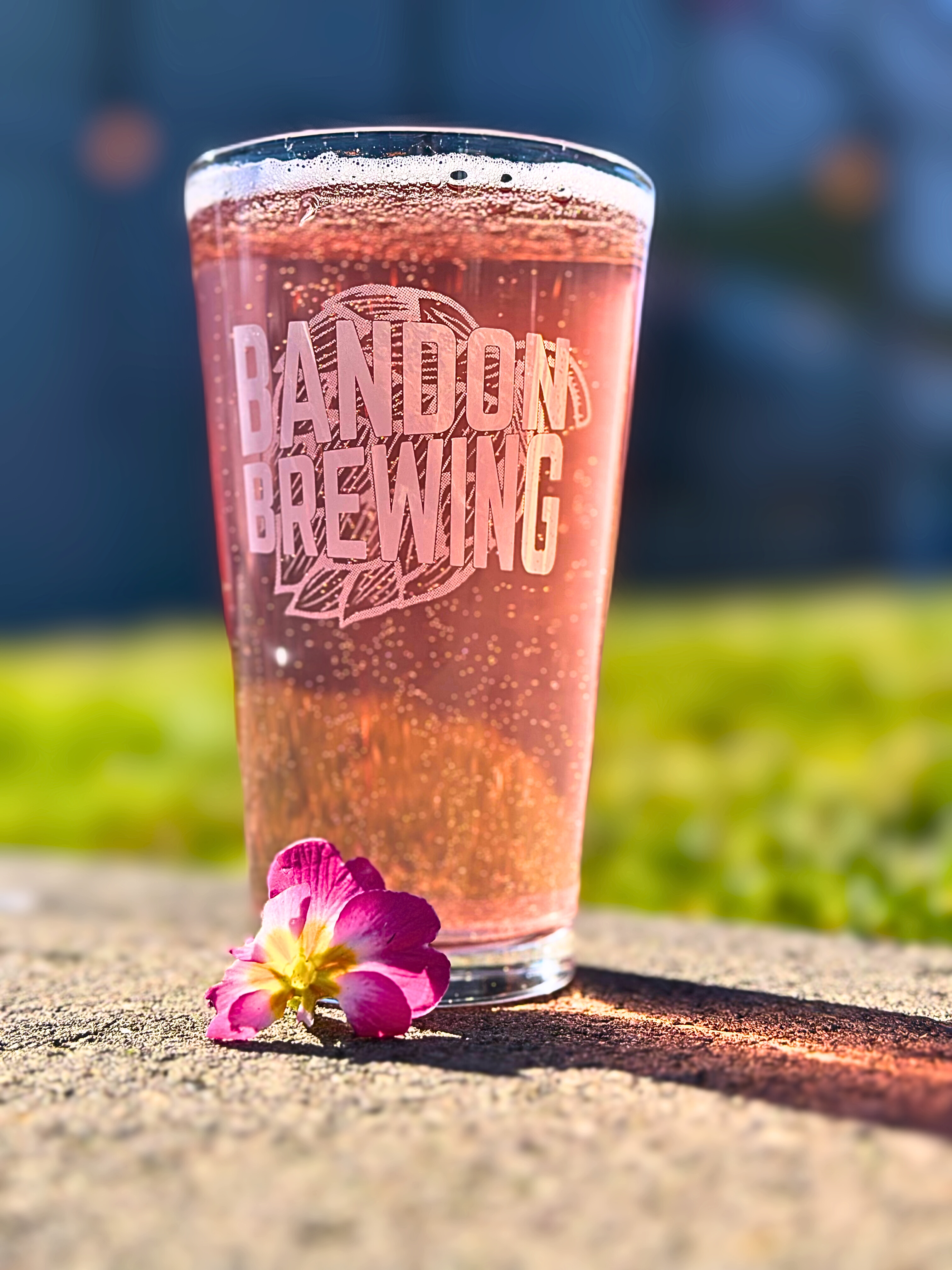 Mint Hibiscus Hop Tea