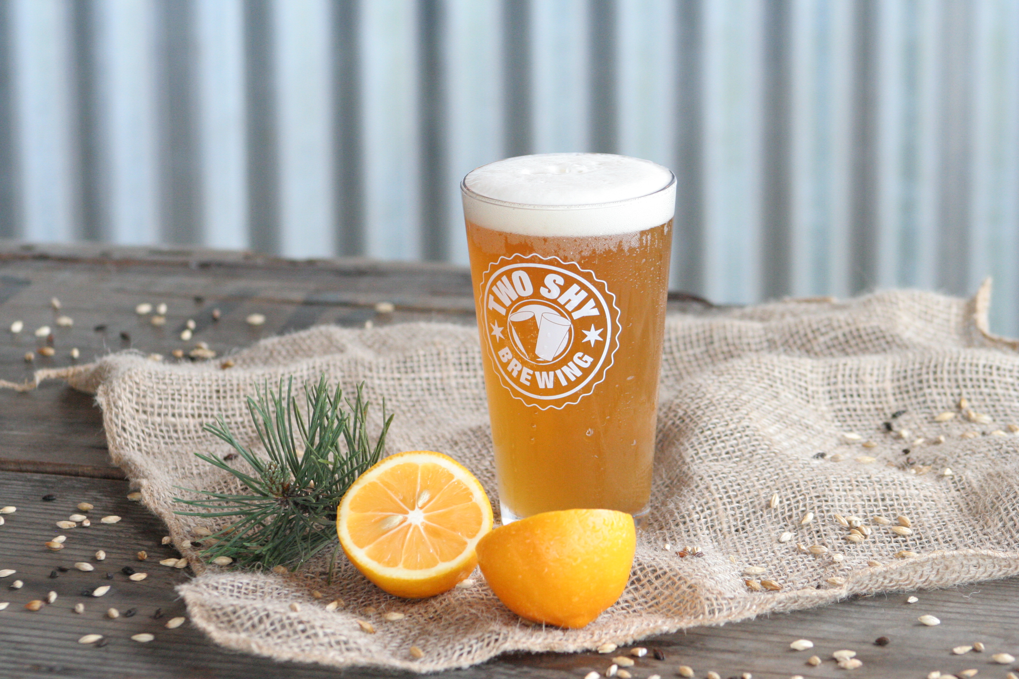 Everything Is Awesome Pale Ale