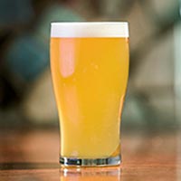 Captain Neon's Beer Blends