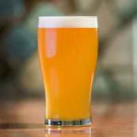 Fresh Hop Intercontinental Vienna Lager
