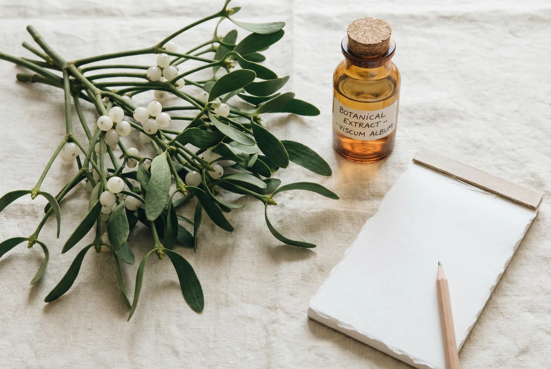 Integrative medicine consultation — botanical and clinical elements