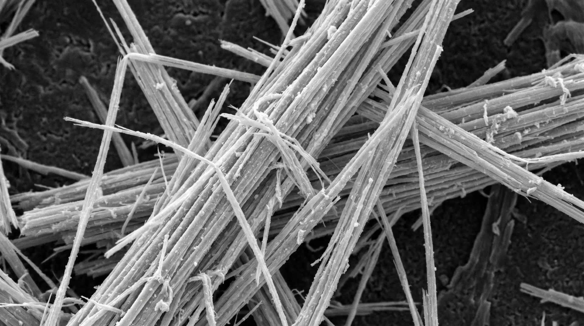 Electron microscope image of tremolite asbestos fibres — thin needle-like strands