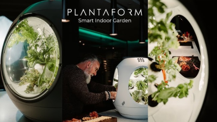 Canadian Startup Plantaform Wins Web Summit Qatar 2026 Pitch Competition