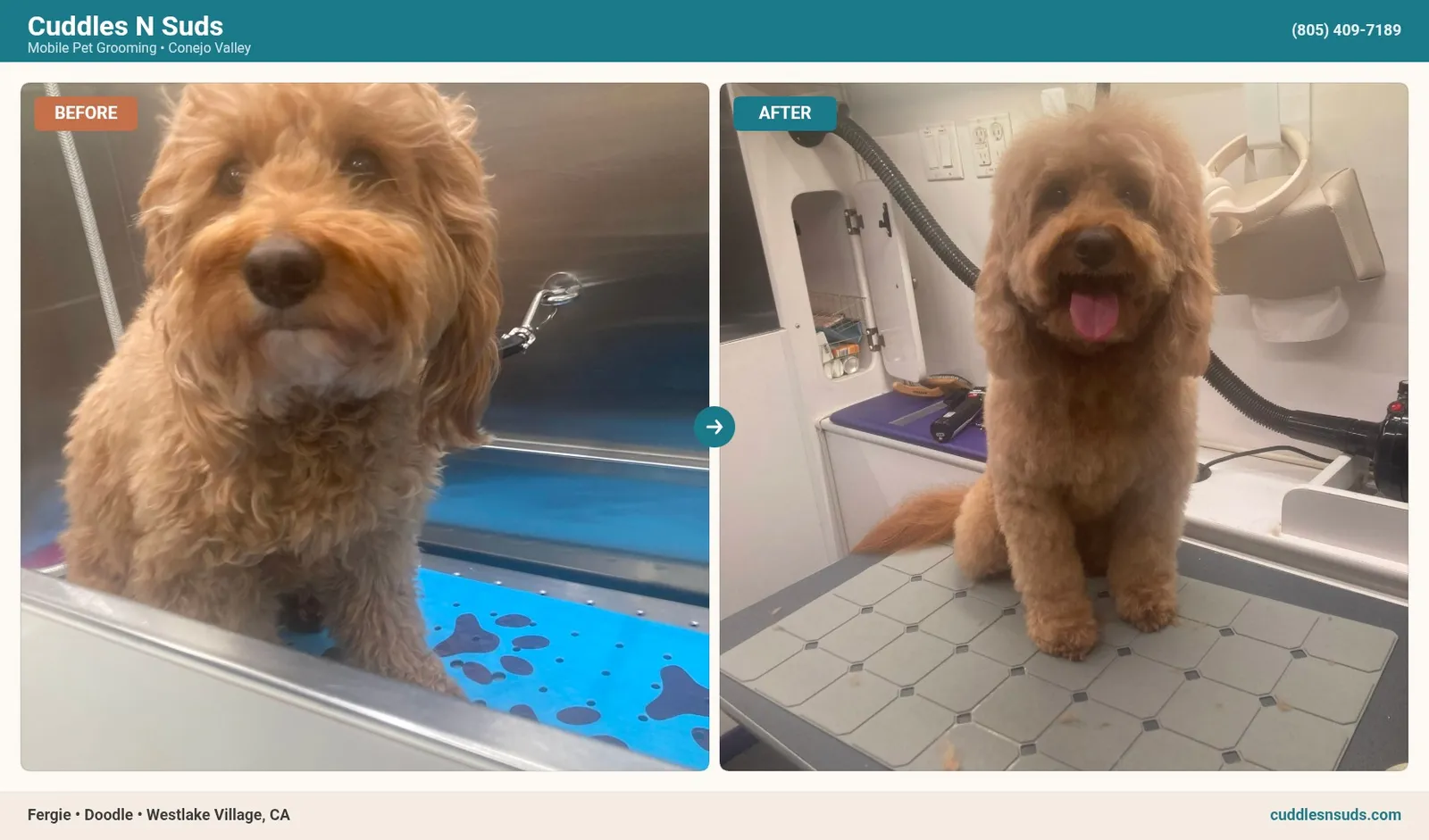 Before & after grooming transformation — Fergie the Doodle from Westlake Village