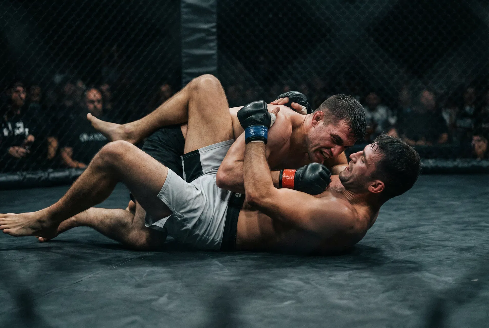 MMA & Combat Sports