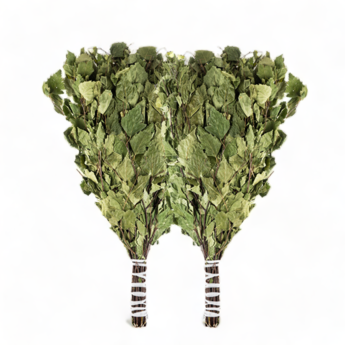 Venik Birch Branches for Banya Massage