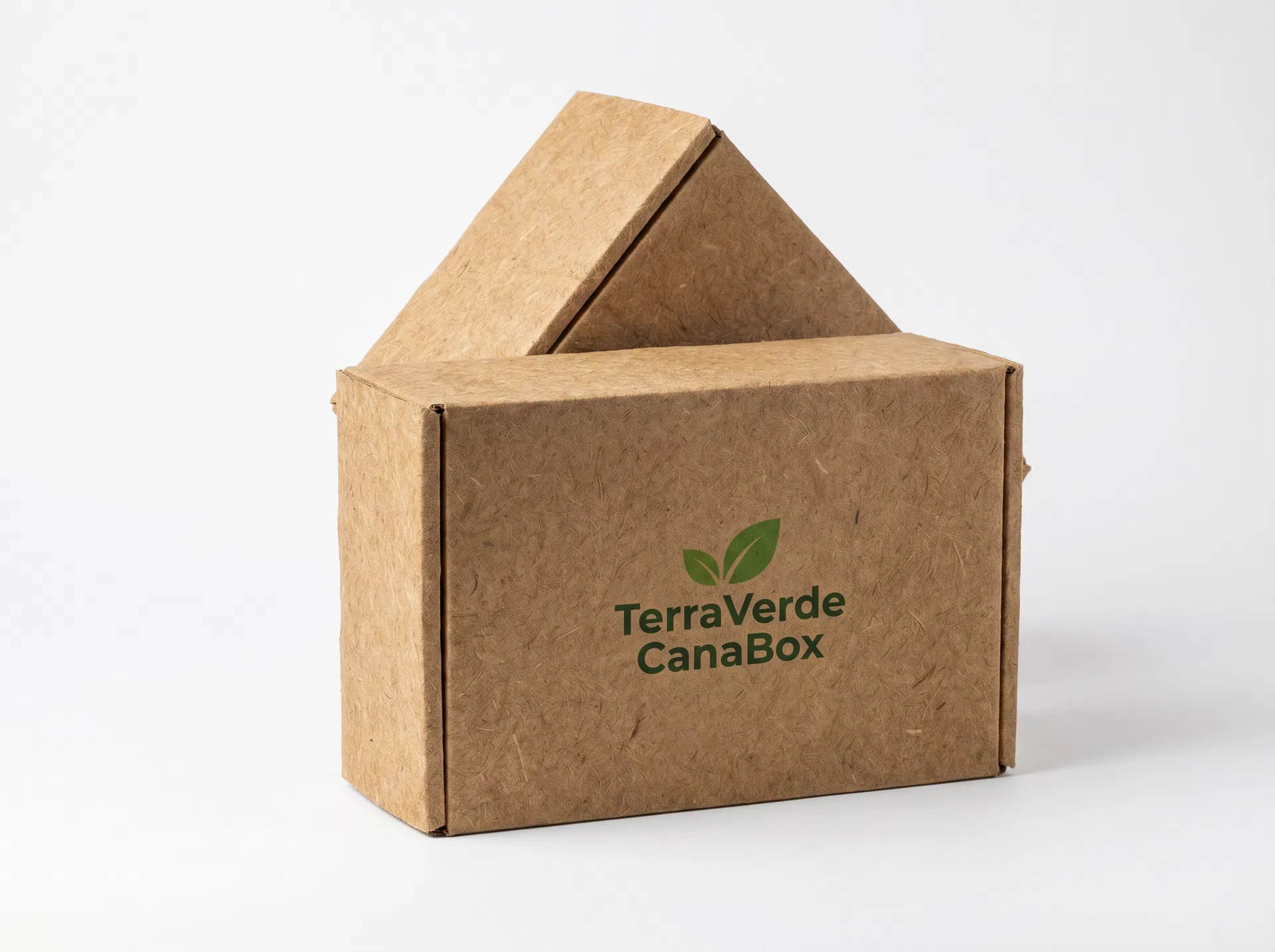 Packshot da CanaBox TerraVerde — caixa de envio feita de bagaço de cana-de-açúcar