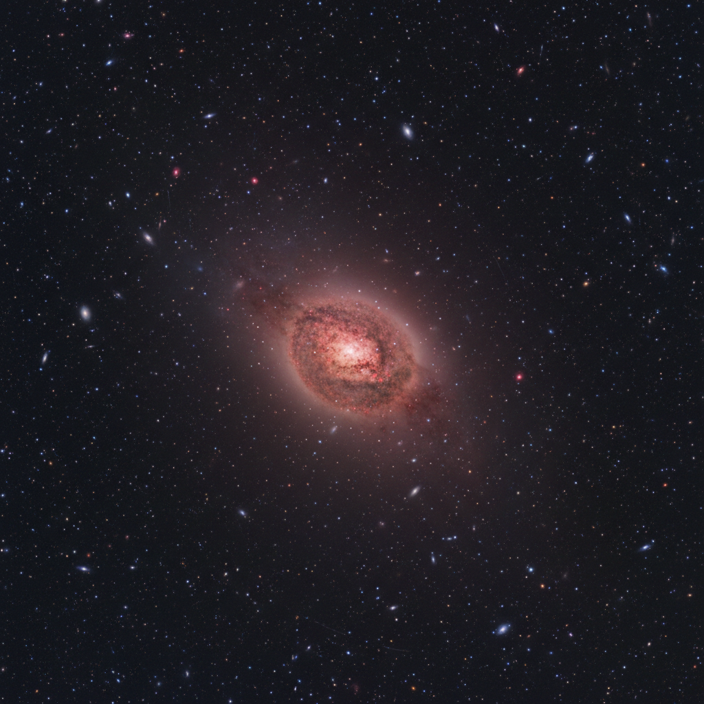 A Batata Cósmica: Um Enigma Vermelho no Berço do Universo