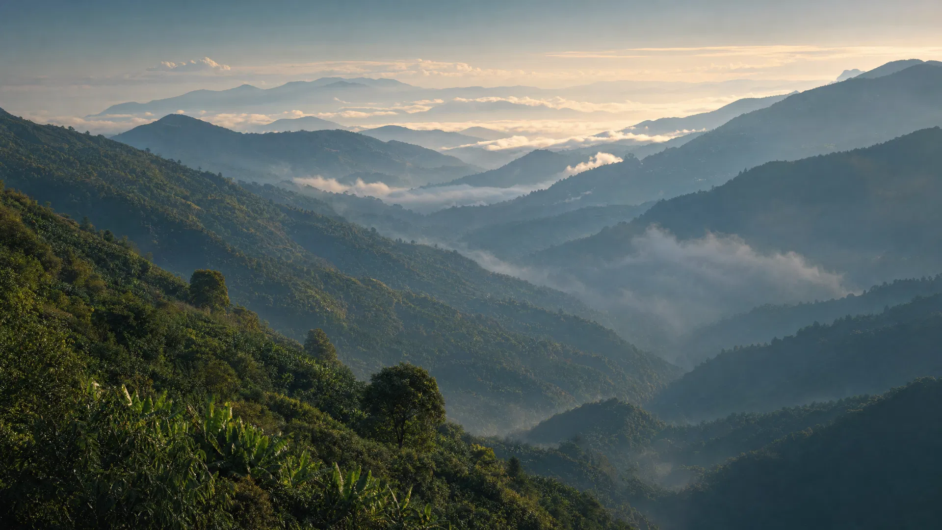 Colombian Andes mountain range