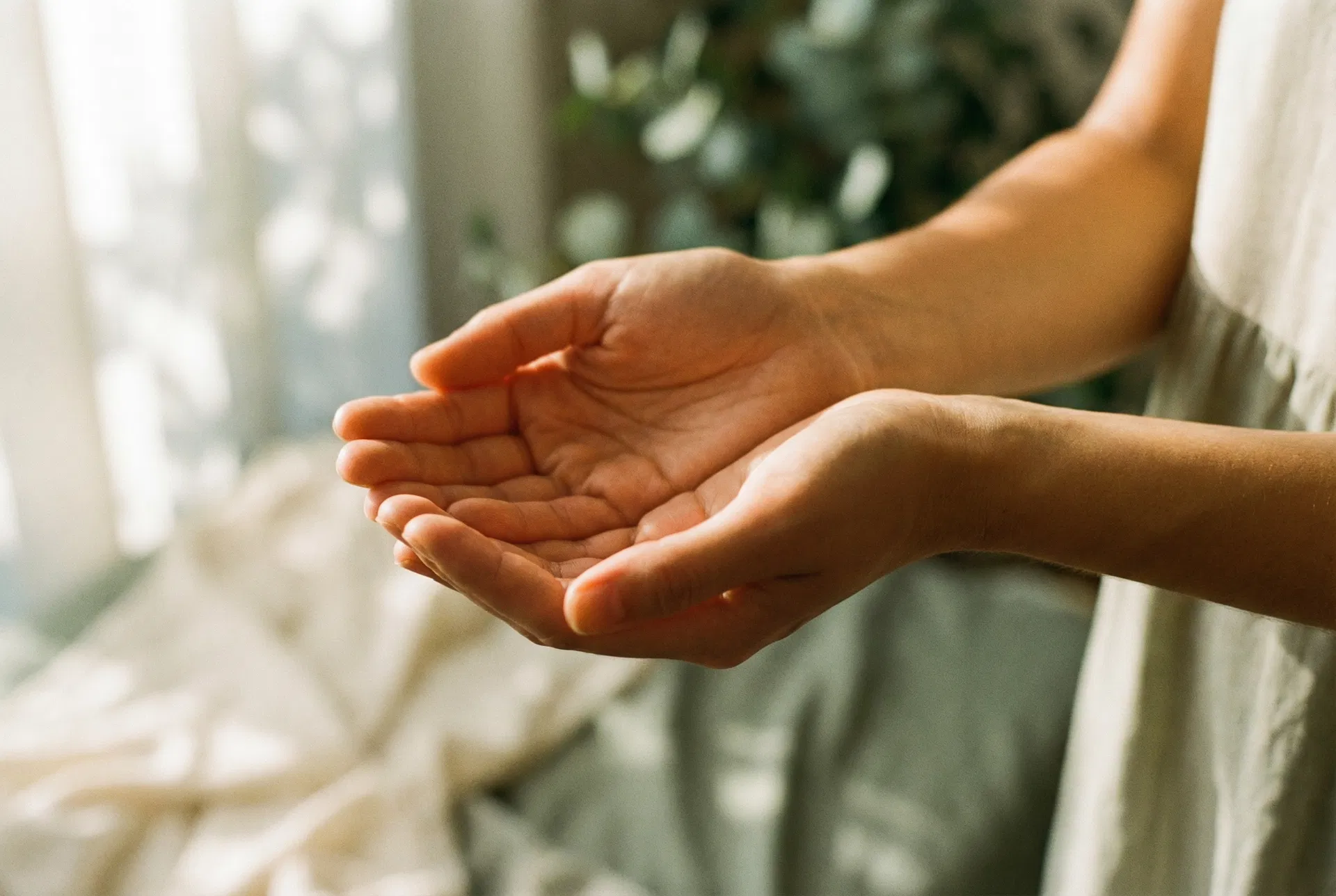 Open hands, offering and receiving