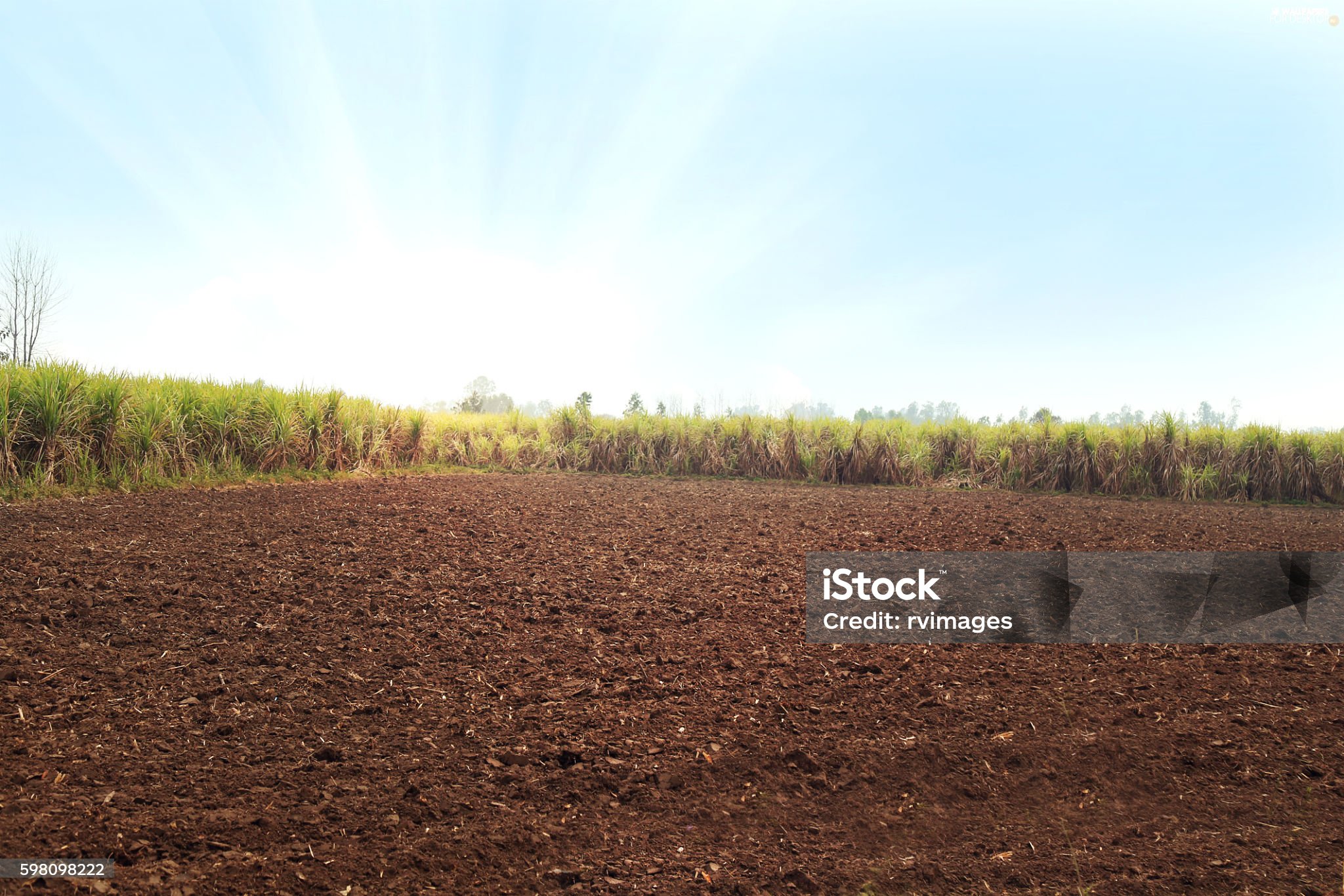 Land At Pargaon Purandar