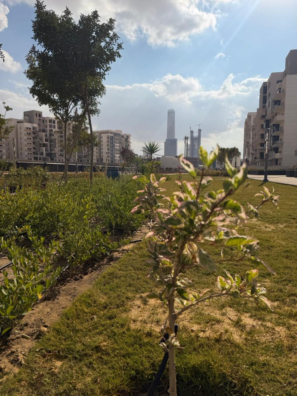 Jade park by City Edge – photo 3