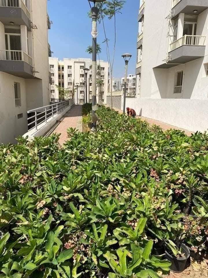 Jayd by SED – photo 8